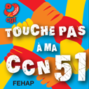 Badge ccn 51 redimensionne
