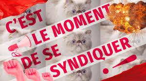 Images 18 6